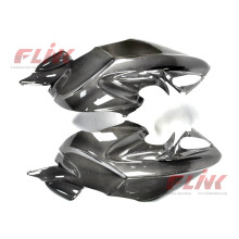 Carbon Fiber Side Panel für BMW R1100s